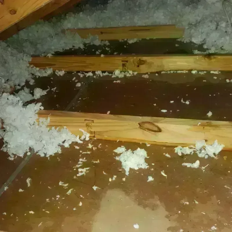 Attic Water Damage in Spring Park, MN