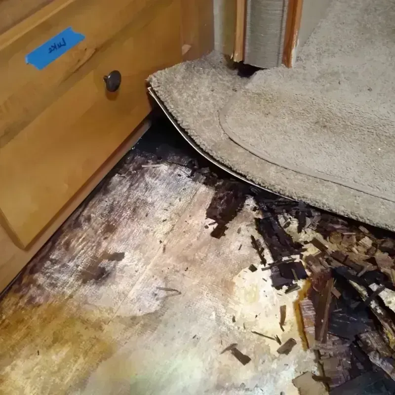 Wood Floor Water Damage in Spring Park, MN